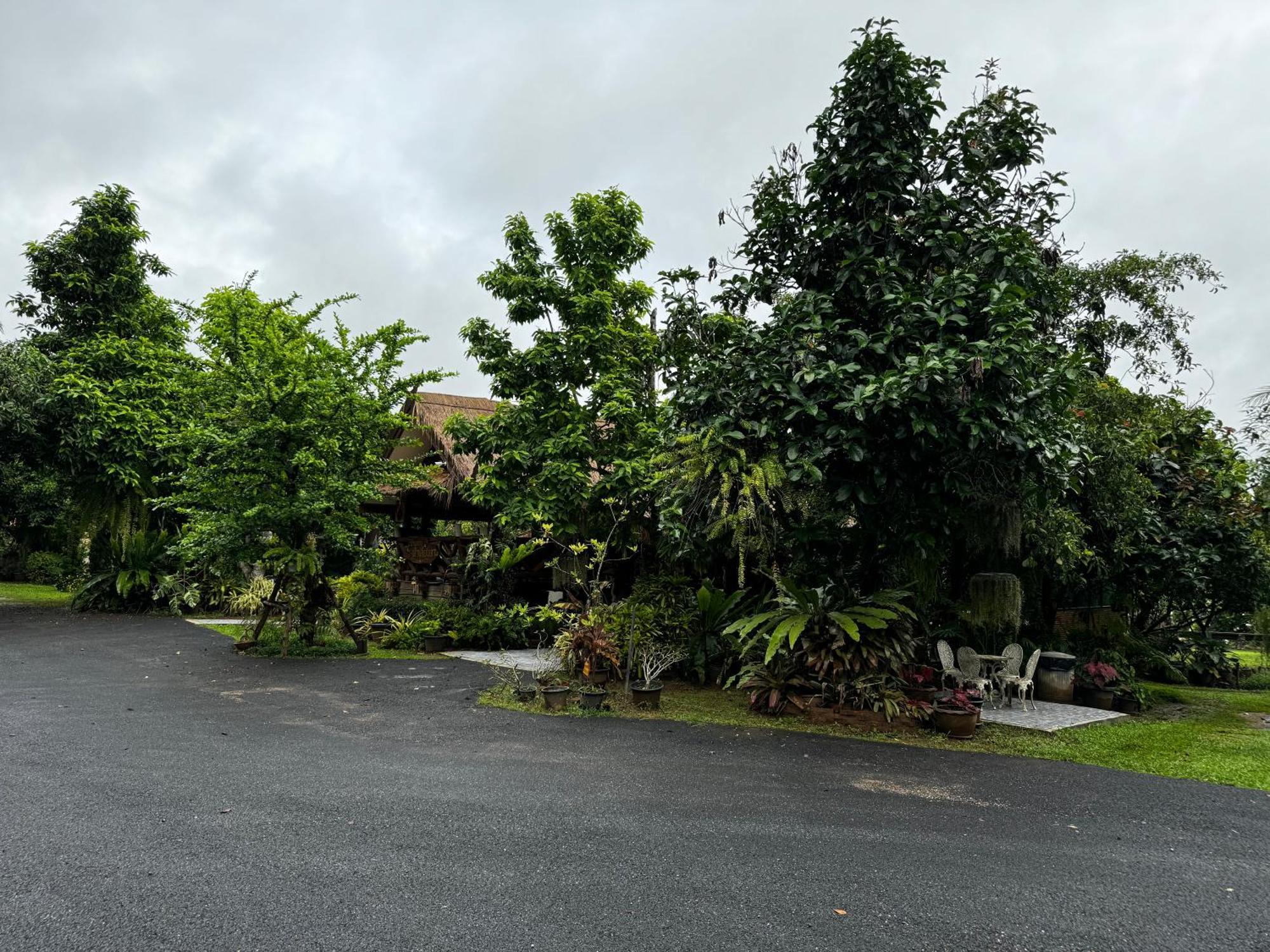 Baan Suanfah Kiangdao Bed & Breakfast Nan Exterior photo