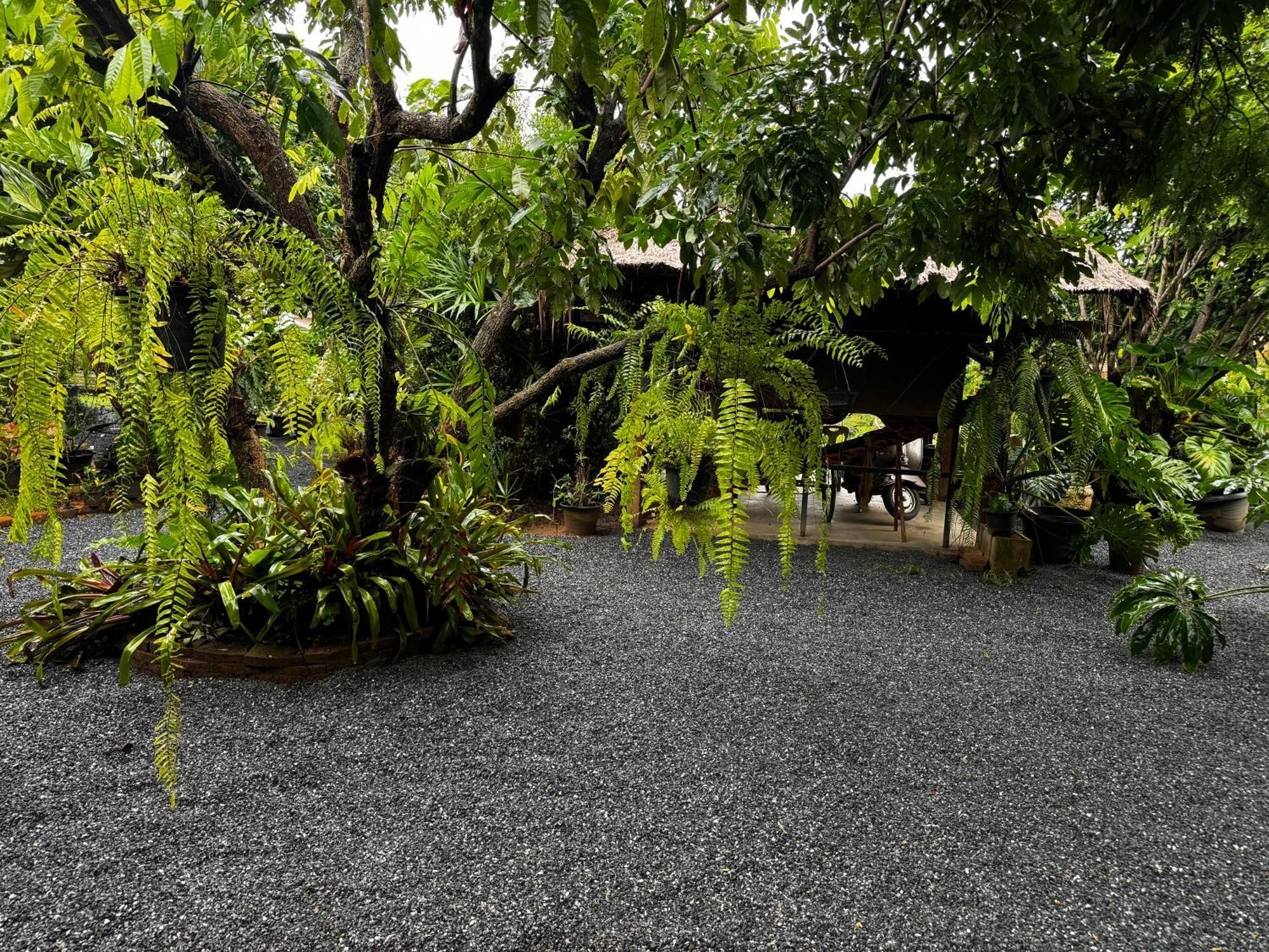 Baan Suanfah Kiangdao Bed & Breakfast Nan Exterior photo